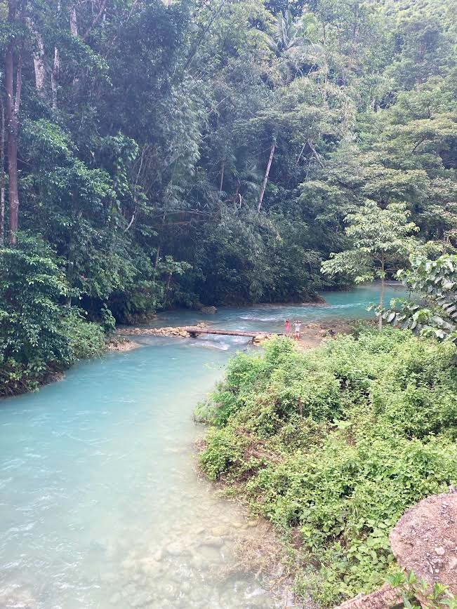 イワシとカメに会いに行く、『モアルボアル（Moalboal）』＆『カワサンフォール（Kawasan Falls）』　Part 1