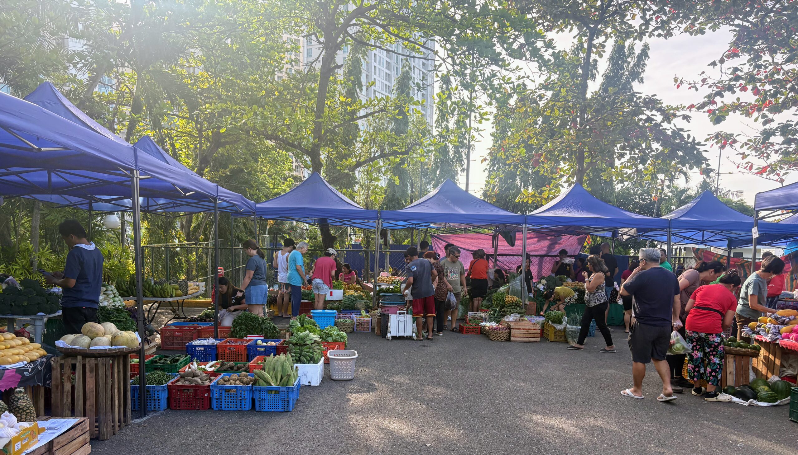 ファーマーズマーケットへ行く
