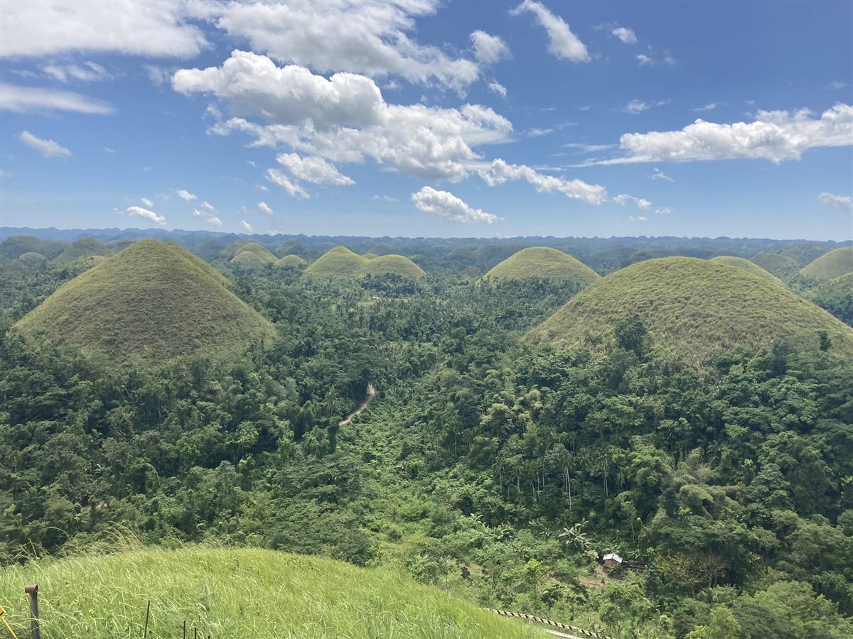 Bohol, Part 1: Chocolate Hills & the Tarsier